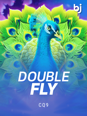 Double Flypng thumbnail